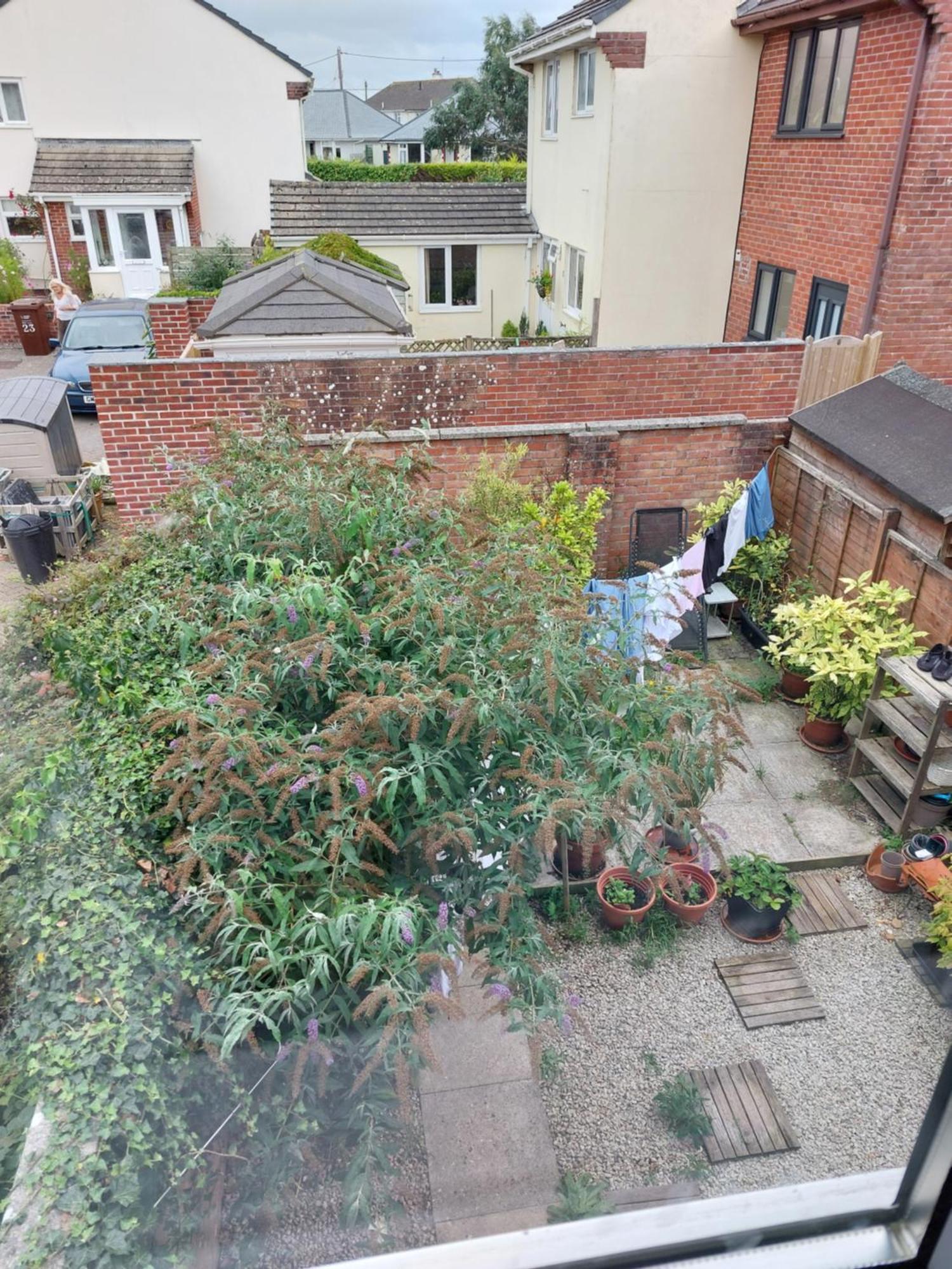 Bude Homestay Stratton  Exterior photo